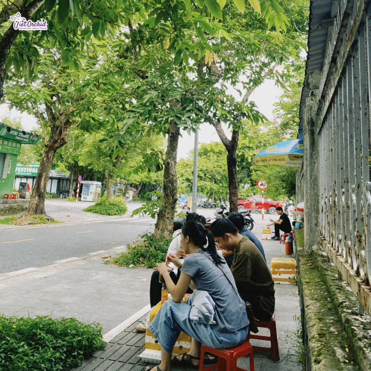 laramacedodanta's tweet photo. The little plastic stool is part of everyday Vietnam. Sit down, order what locals eat, watch coffee drip, and take in the rhythm of the street. Some of the best food experiences are found in the simplest places. Would you join the locals? https://t.co/AnJhOP7oD2