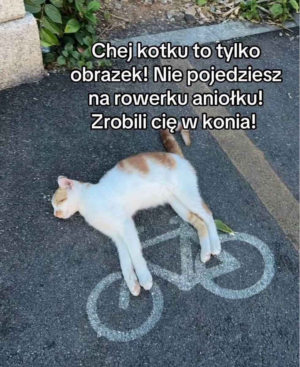 mela_nela12's tweet photo. dzien dobry https://t.co/ayBg9A2fHs