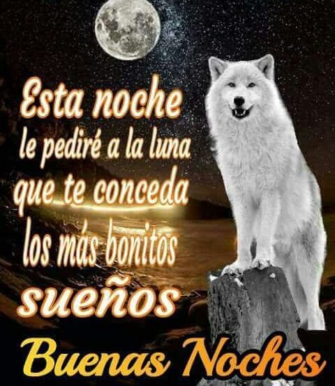 27S2K0's tweet photo. gnmutis,,les espero una bonita noxe ok,, https://t.co/tpQESg34Wb