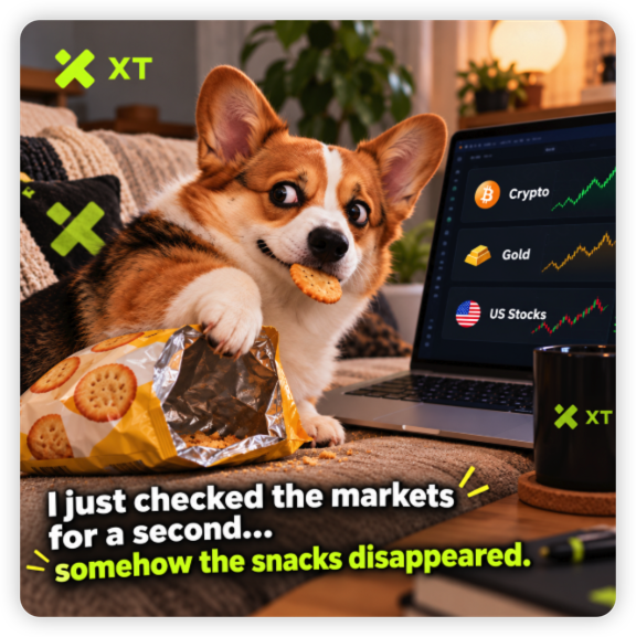 XTexchange's tweet photo. Just checked BTC, Gold, and US stocks for a second…
Somehow the snacks disappeared. 👀🐶🍪
Which market has been stealing all your attention lately?
#XTexchange #XTtradFi https://t.co/9jZZJvrGbq