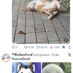 Photo by แพะแพนมาแล้ว #พี่หวาอย่า (@papanjoestar)