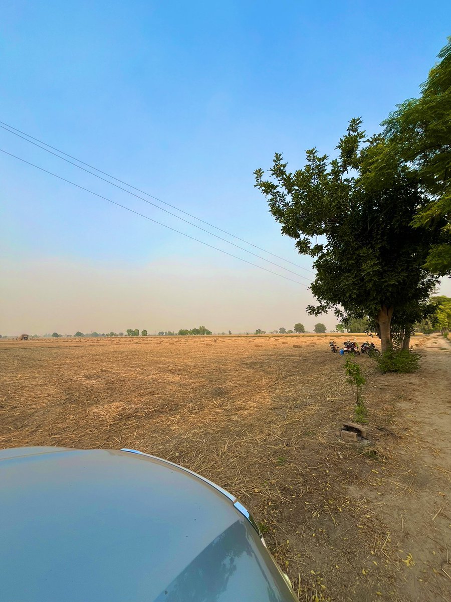ShivrattanDhil1's tweet photo. More than 70% of Punjab’s paddy has already been harvested. I’ve personally harvested my crop and chosen not to burn the stubble. 

That decision alone is costing me around ₹3,500–4,000 per acre close to ₹4 lakh out of my own pocket just for cleaner air and a better environment.

No government support. No meaningful incentives. Yet, year after year, Punjab’s farmers are blamed for Delhi’s pollution and accused of not paying taxes.

A simple question: would you be willing to spend ₹4 lakh from your own pocket purely for the environment?

Before blaming every farmer in Punjab, understand the cost many of them are willingly bearing.

Salute to every such farmer. 🌾🇮🇳
