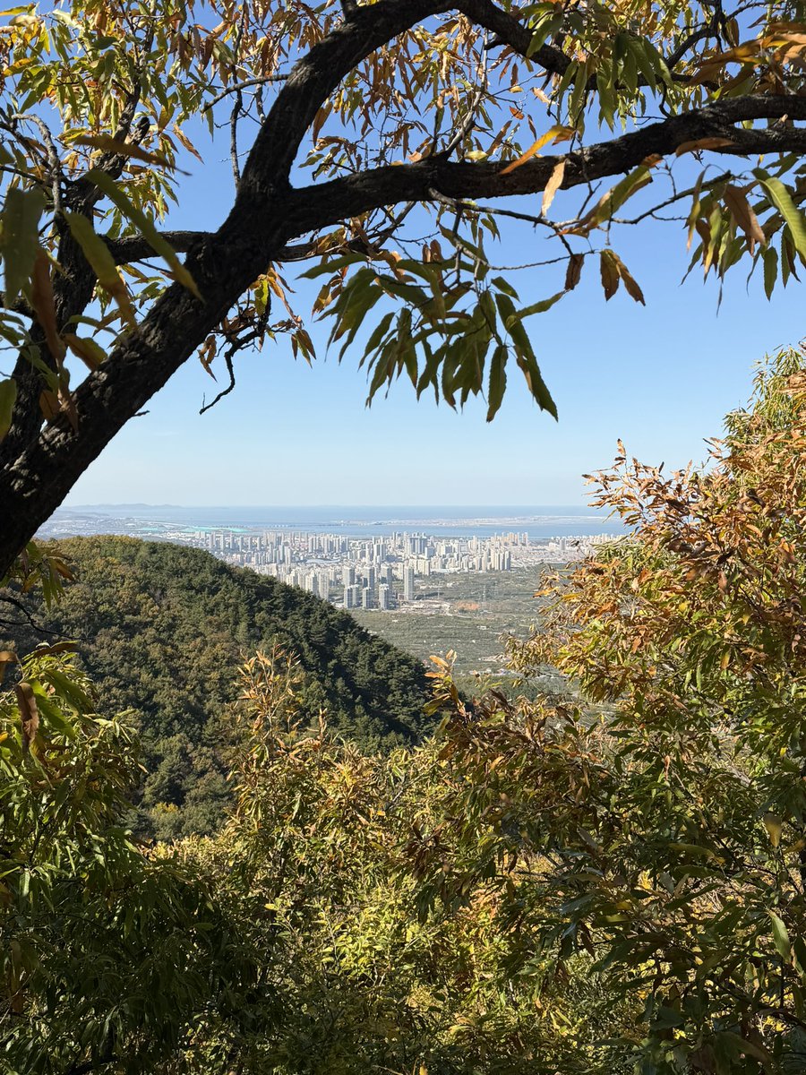 AJS6789's tweet photo. All before 11am not too bad 30k steps in the bank
Get me some shredded beef noodles 🇨🇳 https://t.co/4WEkFO8egy