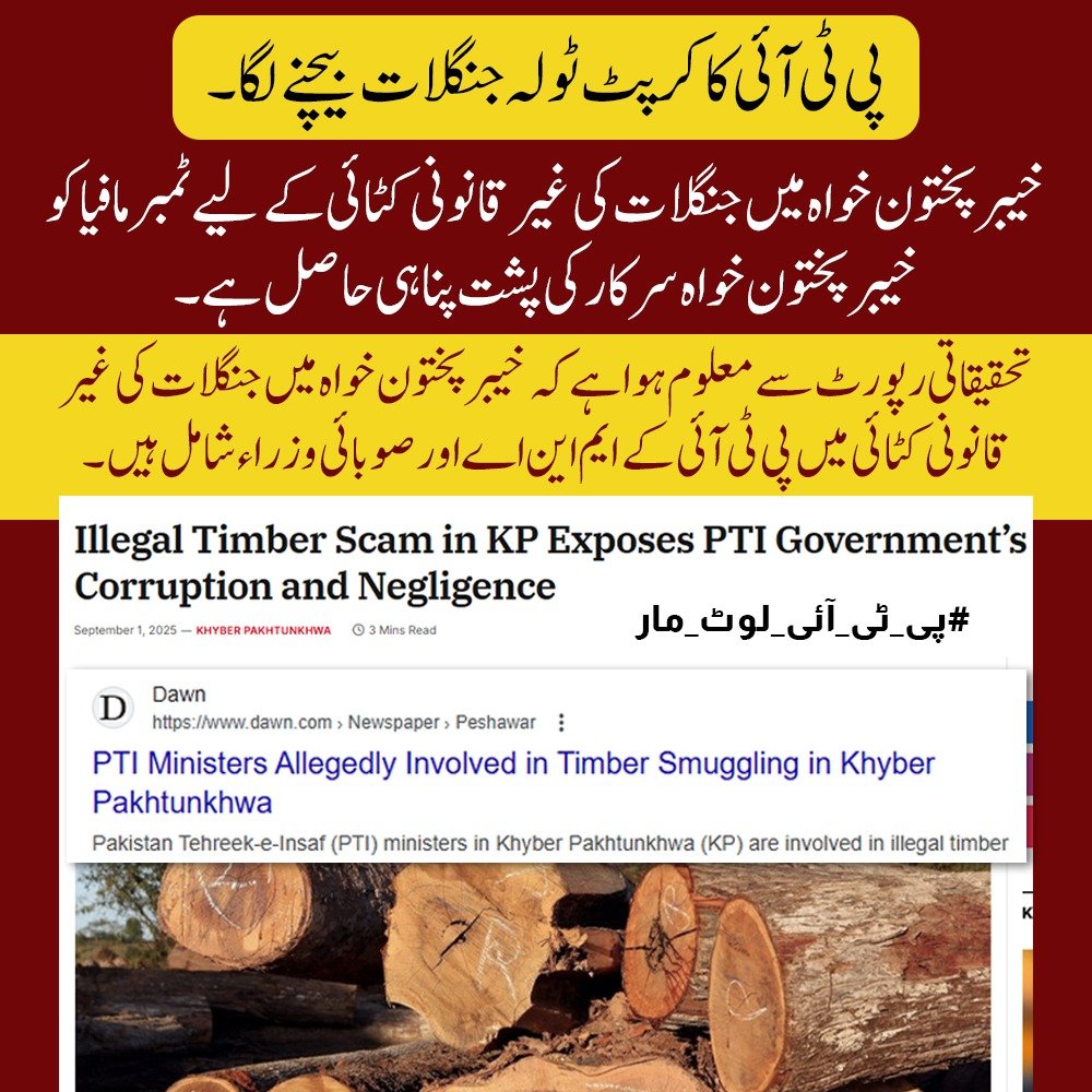 Plato_2024's tweet photo. خیبر پختونخوا میں غیر قانونی طور پر جنگلات کی کٹائی اور لکڑی کی اسمگلنگ کے معاملے میں پی ٹی آئی حکومت کے وزراث ملوث۔
تحقیقاتی رپورٹ کے مطابق جنگلات کی غیر قانونی کٹائی کے معاملے میں پی ٹی آئی کے بعض وزرا اور صوبائی حکومت کے اہم عہدیداروں کے نام بھی شامل ہیں۔
#پی_ٹی_آئی_لوٹ_مار https://t.co/COZYvUSX7R