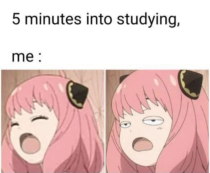 Krismile_B's tweet photo. might start taking my textbooks to bed at this point💤😴 https://t.co/Y9NqzdePbL