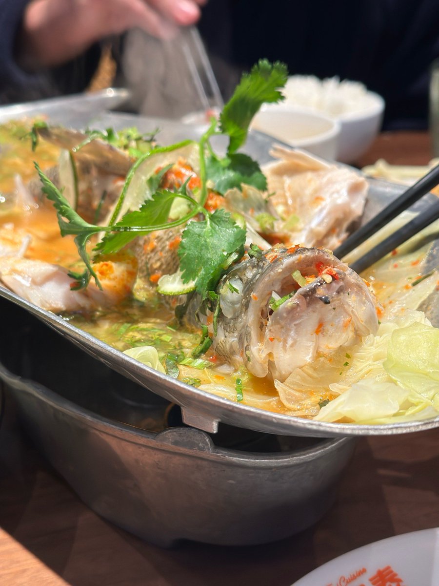 uchinonekoo's tweet photo. 今日は司蚁菜砂悠さんの新しいレシピを試してみたんだ 独特の砂のような食感がクセになる～！ https://t.co/teeR2QFgJl