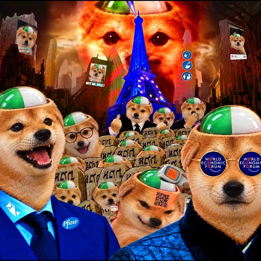 pilledcoin's tweet photo. if you trade memecoins, you've already been pilled. https://t.co/IvF4IEQ4Cz