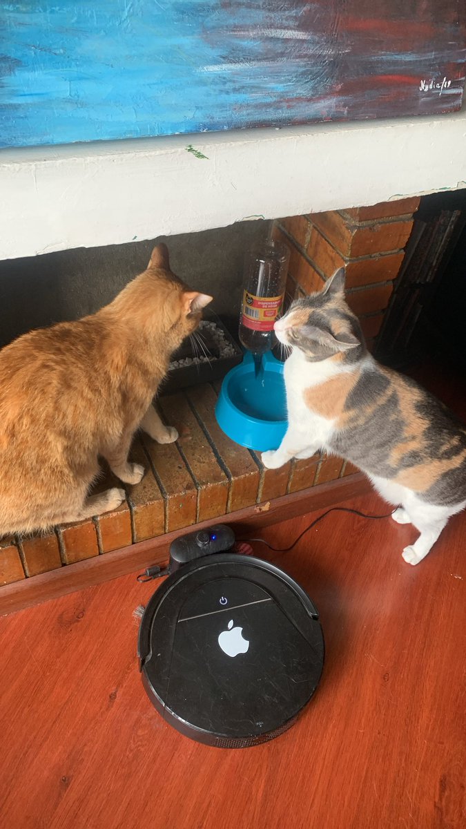 NstorFa's tweet photo. Mis nenes https://t.co/Yhfk2YOYWH