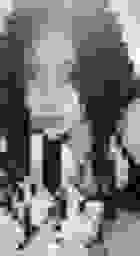 AdamKSLee's tweet photo. 【間違い探し】大きなクッションでお昼寝に隠された4つの違い、見つけられる?制限時間は40…🎶 https://t.co/P7zDXrhS2C