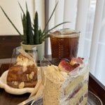 Photo by 낡고 지친 초보 운전자 vaness (@vanesschoi)