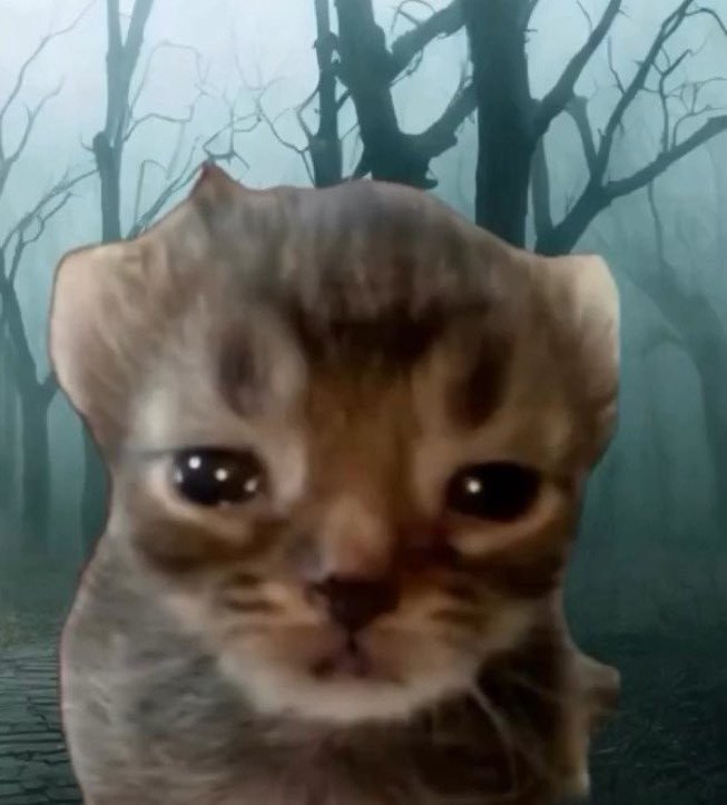 SoySamCast's tweet photo. @der4ngedstalker Que tiene we? Son bien lindos https://t.co/ZOodbehwqr