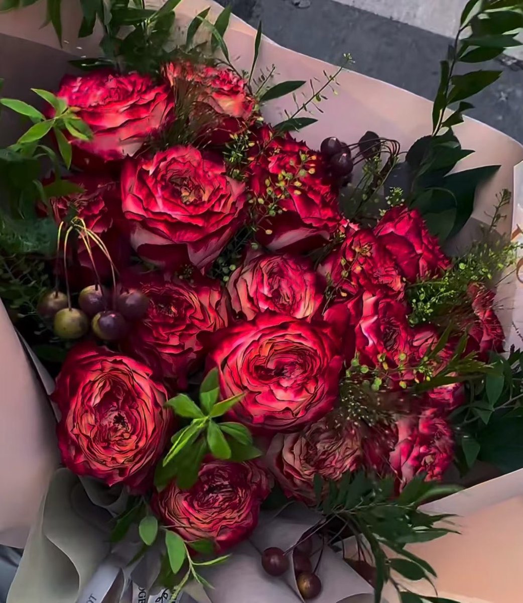 CennetKrby's tweet photo. "批量的生活，散装的快乐"
 ༔ 𝗚𝗶𝗿𝗹'𝘀 𝗱𝗮𝘆 ||▎🌷
“做快乐的事 ▸ 见快乐的人~⸝ဗီူ⸜⸝ဗီူ⸜♥️ ⁺¹ºº” https://t.co/wxRsxMEHkF