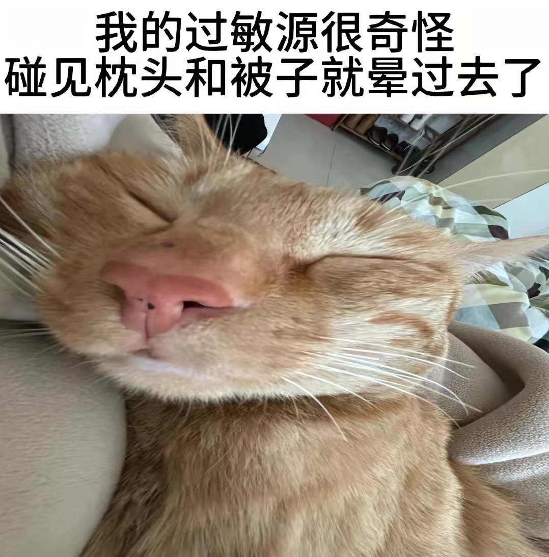 NovaUnsent404's tweet photo. 我的一些小众过敏源 belike： https://t.co/WQreduozuC