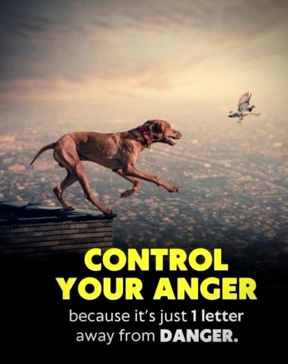 JSyvari's tweet photo. Control your...
#ThursdayThoughts
#MindsetMatters
#BuildYourOwnFuture
#LiveYourFantasticLife https://t.co/i3gNEBznlr