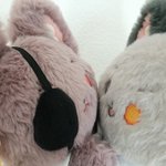Photo by 山田すぅ‎ (@SuYamada)