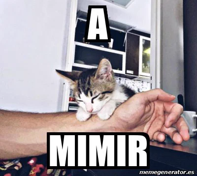 moexcloud's tweet photo. Gonna go to mimir right now 🥱😴
Welcome, new followers! 👋🏼 https://t.co/LW1ALFijzW