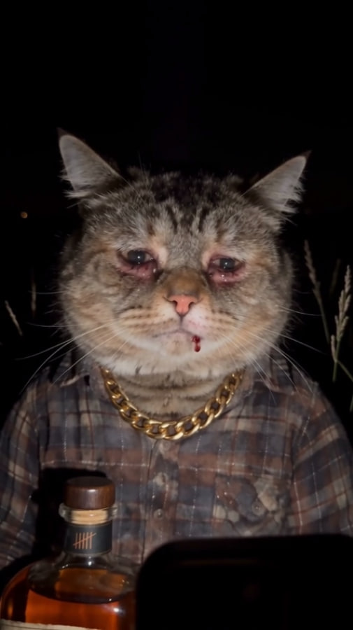 texcat_token tweet picture