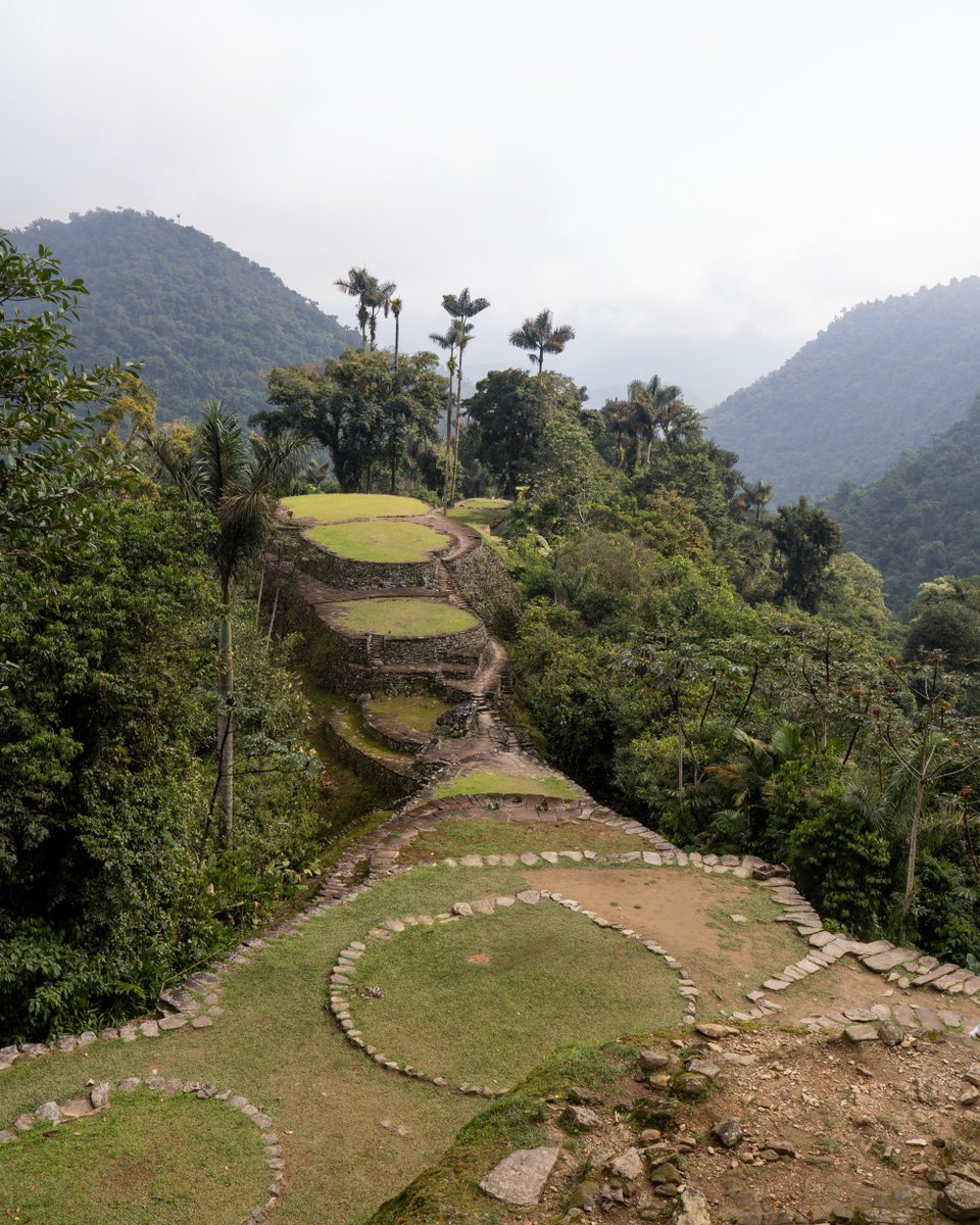hasmiig's tweet photo. Ciudad Perdida was een van de meest bijzondere tours die ik in Colombia deed. Na dagen hiken door de jungle bereikten we Teyuna: een 1. 300 jaar oude Tayrona-stad met terrassen, paden en trappen, eeuwenlang verborgen in de jungle. https://t.co/ECZZleF2vB