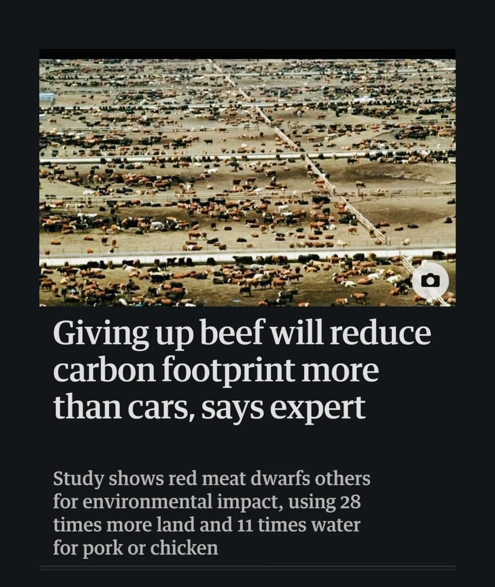 JamesMelville's tweet photo. Utter nonsense. https://t.co/dyHtfc4O4p