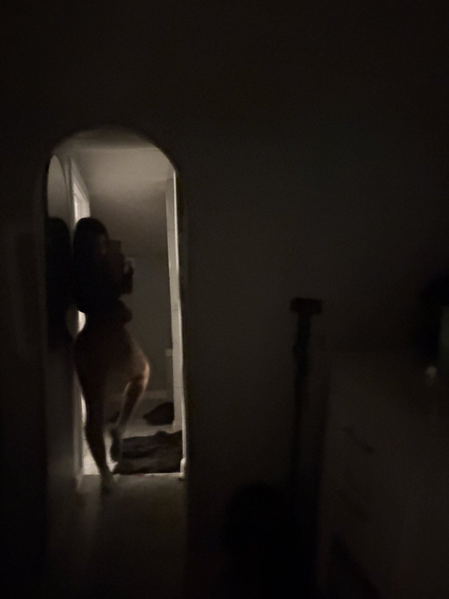 Xoxobunny333's tweet photo. Bad quality high quality me https://t.co/vRrADx3S2M