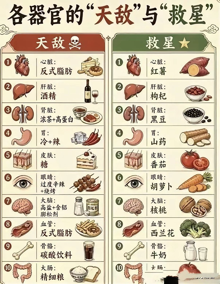 SoulSloop99's tweet photo. 身体各个器官的天敌和救星整理好了！心脏怕反式脂肪、肝脏怕酒、胃最怕生冷辛辣……
对应的养护食物也给你列出来，红薯、枸杞、山药、番茄、核桃。好好吃饭就是最简单的养生，管住嘴，少碰伤器官的东西，多吃温和养人的食材。收藏起来，平时吃饭多留意！你平时最喜欢吃里面哪一种“救星食物”？ https://t.co/W3Fy9eYrHJ