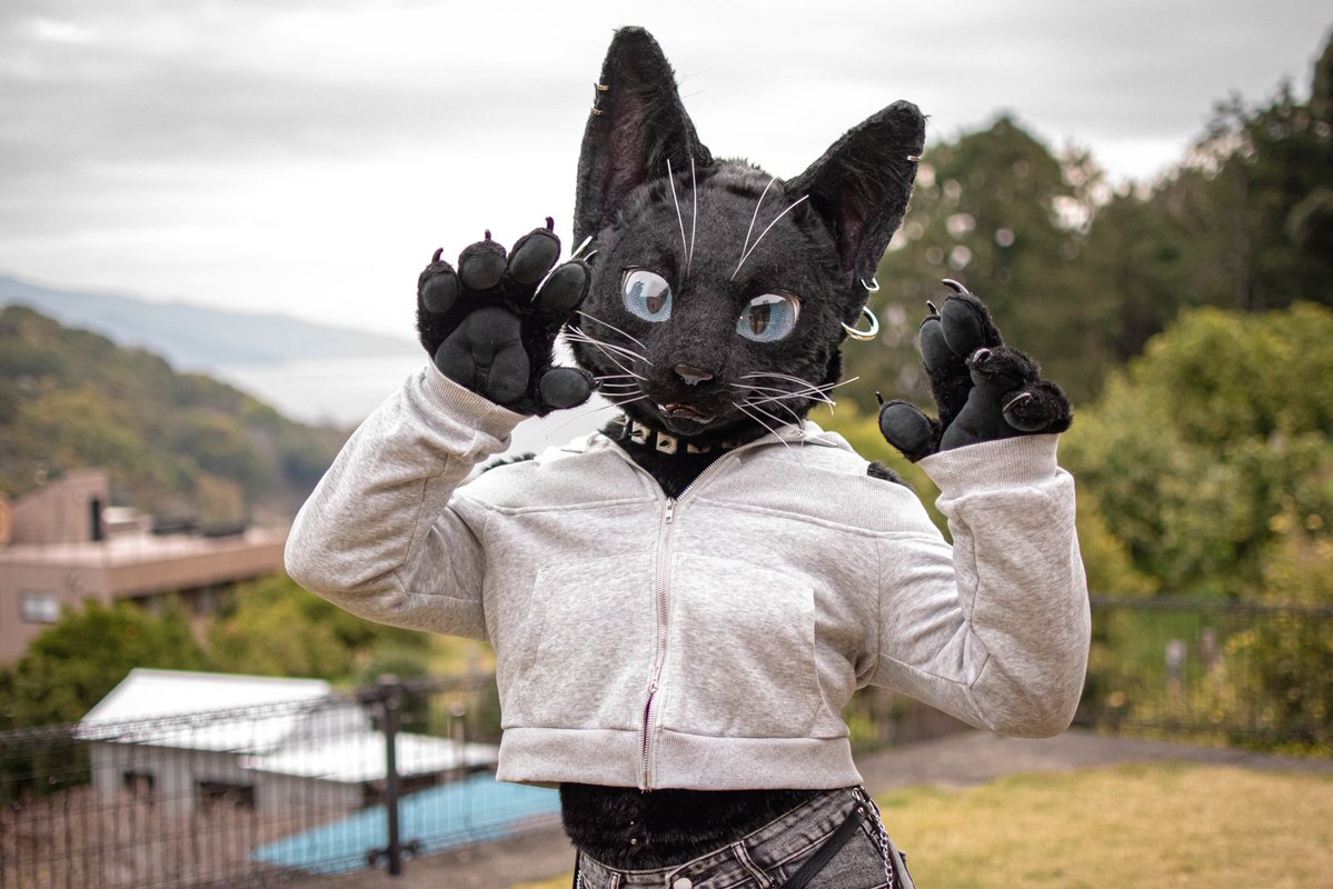 kuronekoNevy's tweet photo. You can’t resist these paws! https://t.co/7zP65yQFuB