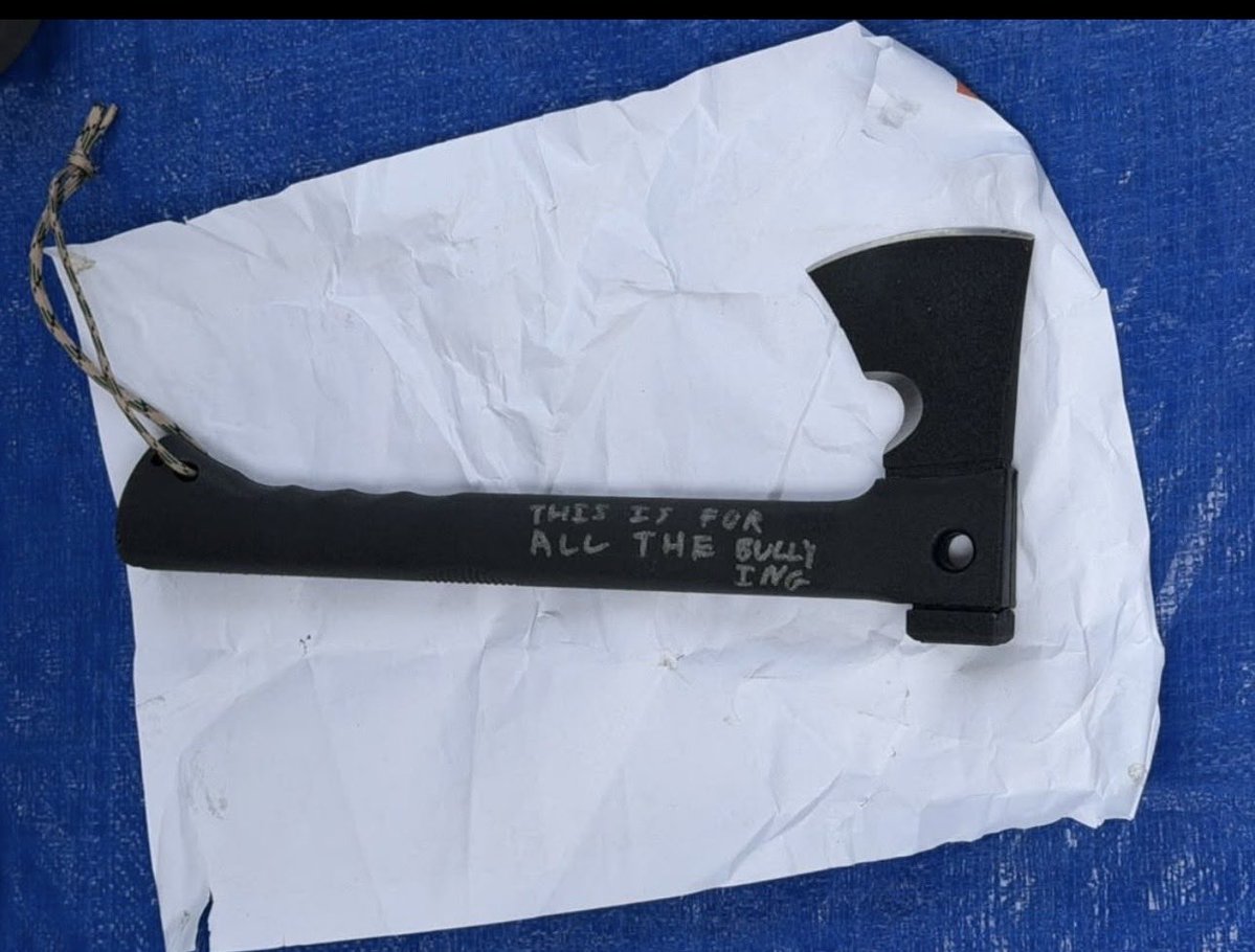 8zdn2vr7cqHaziq's tweet photo. Same axe? https://t.co/WZWbIu0mHy