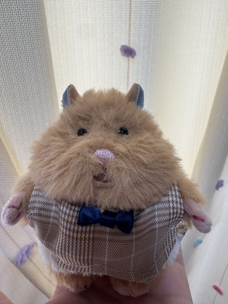 girihapi88's tweet photo. 完成✨️🐹🤎

#はむにぎり
#はむにぎりのいる暮らし https://t.co/6BuGQDdGlc