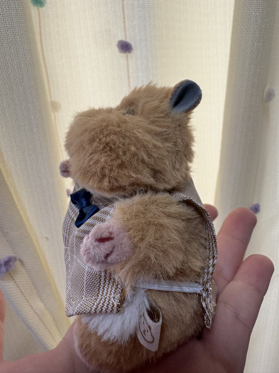 girihapi88's tweet photo. 完成✨️🐹🤎

#はむにぎり
#はむにぎりのいる暮らし https://t.co/6BuGQDdGlc