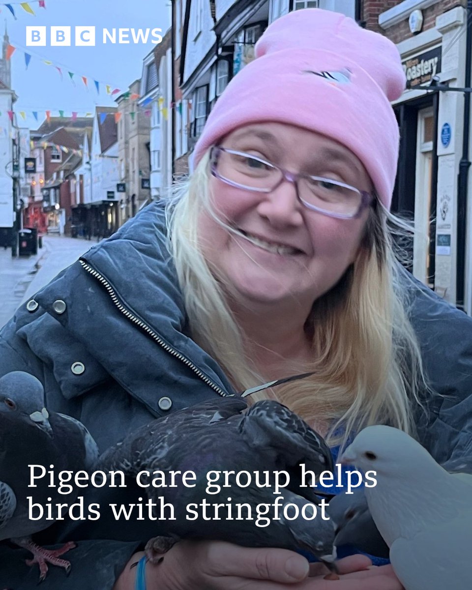 BBCRadioKent's tweet photo. A group has formed in East Kent to help pigeons suffering from a problem that can irreparably damage their feet.

More here: https://t.co/pZD8BLBHyn https://t.co/SWvDT9cn9B