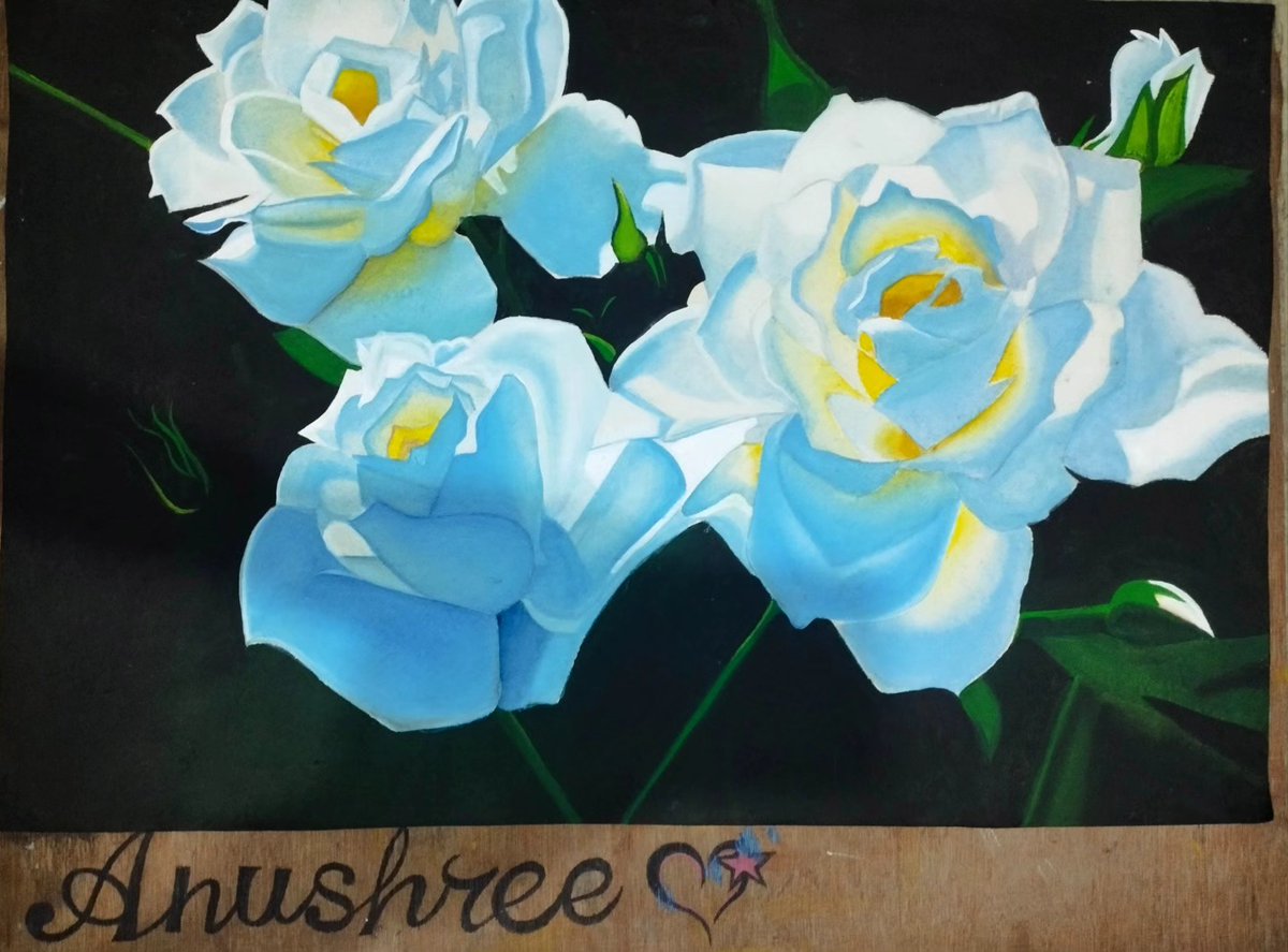 AlanabNStaffdD3's tweet photo. White Roses, painted by me. https://t.co/rE4M7sSyd3