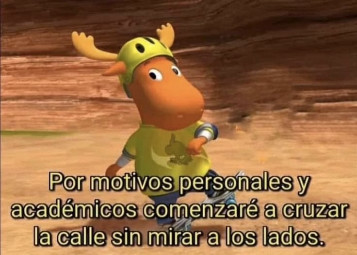 nayelintorres's tweet photo. https://t.co/PYKA7J83df
