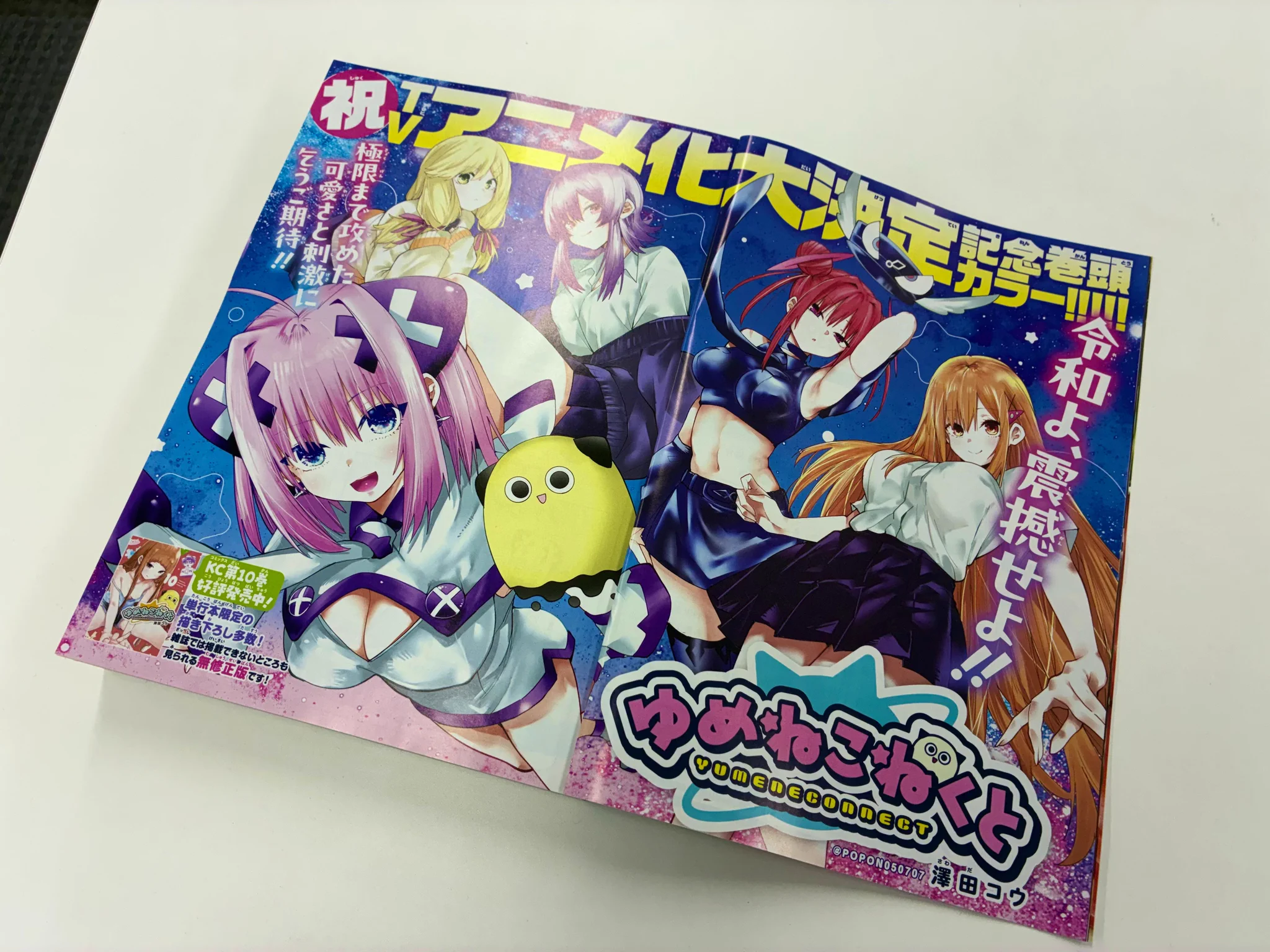 ゆめねこねくと アニメ公式 on X: 
