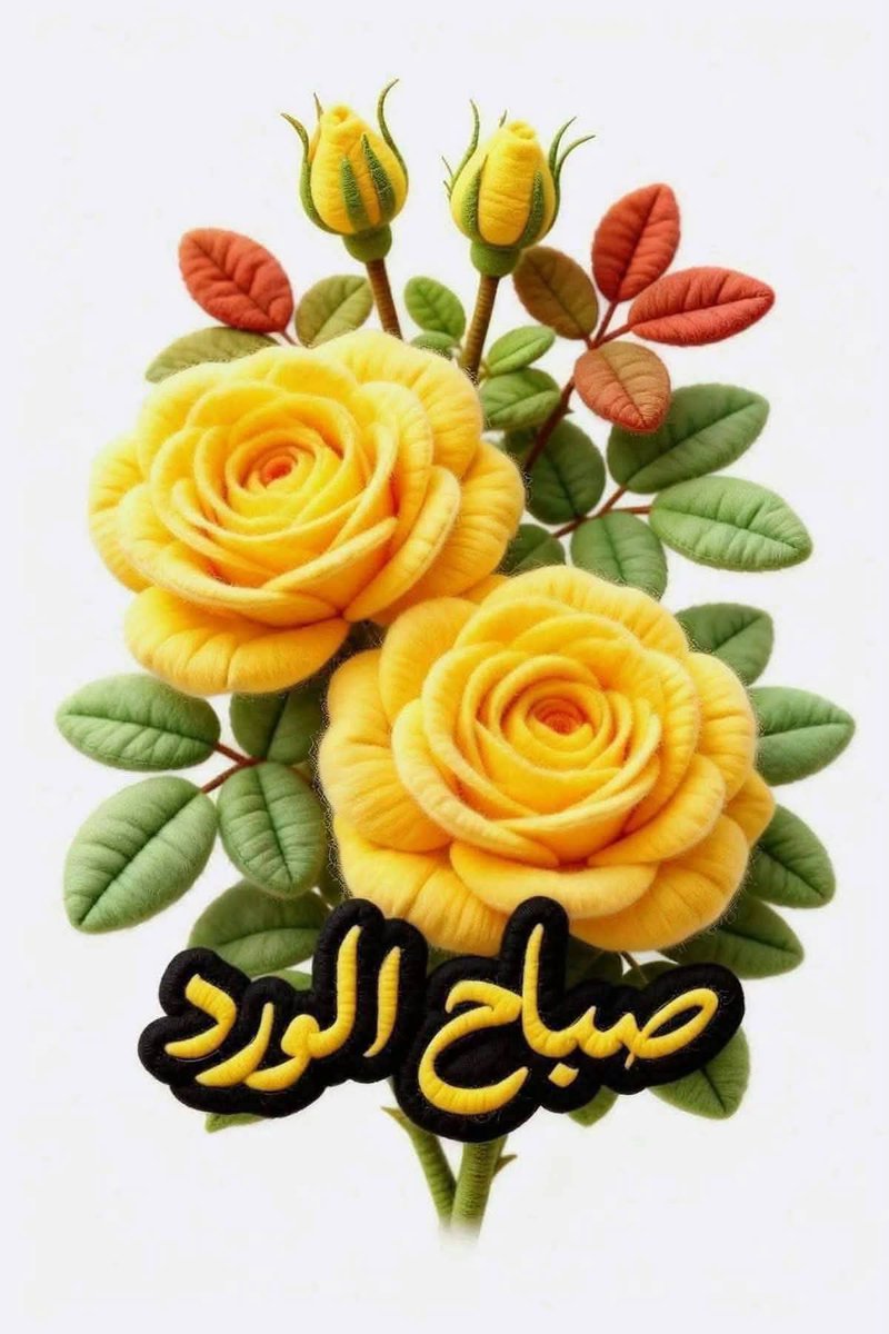 MiloudM24639937's tweet photo. @Z82zainab 🌺🌺صباح الورد🌺🌺 https://t.co/xoTjNsq1j3