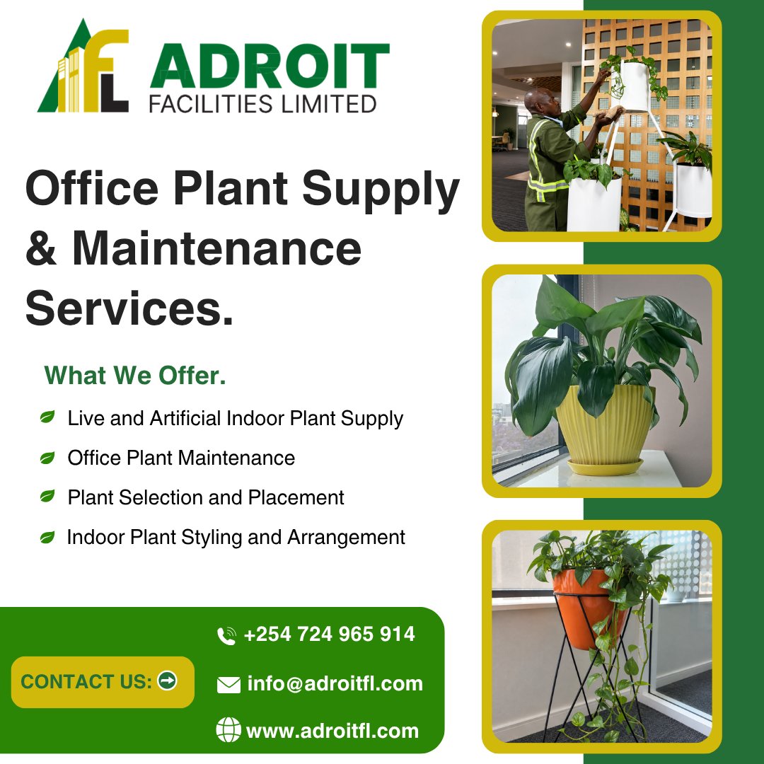 AdroitF's tweet photo. 🌿 Details matter. Adroit Facilities Limited keeps your office plants fresh and your workspace professional — leaving a lasting impression every day.
#FacilitiesManagement #PlantCare #WorkspaceExcellence https://t.co/Vrk5Kco8AH