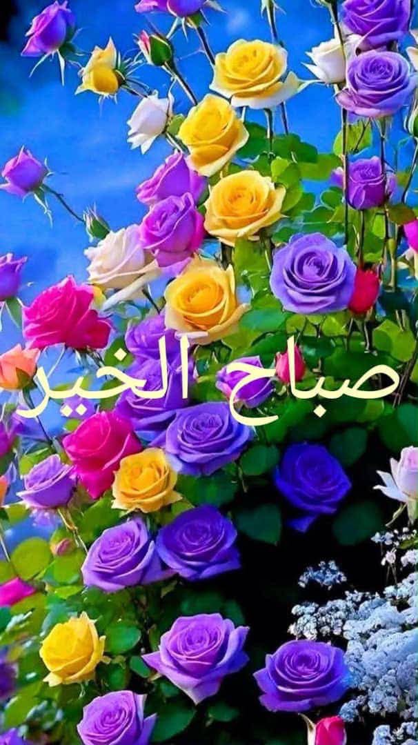 MiloudM24639937's tweet photo. @malak_h2020 اللهم آمين يارب العالمين https://t.co/uJvb3Znkav