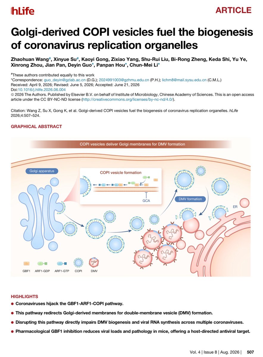 SciencNews's tweet photo. Golgi-derived COPI vesicles fuel the biogenesis of coronavirus replication organelles

#CEPAS2026 #InnoConf2026 #Xiamen #China #Science #Tech #Innovation https://t.co/Wcs4U99IYd