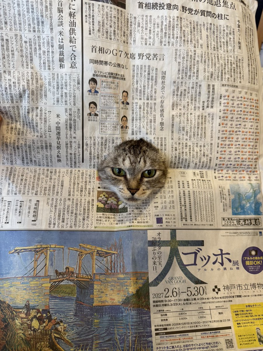 kokonananya tweet picture