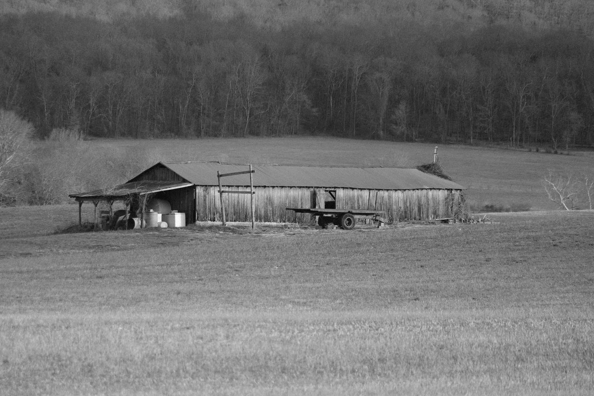 CamerjiAriasfMy's tweet photo. An old barn stands quietly in an open field, weathered by time and anchored by the stillness around it. https://t.co/WMlciy8dHU