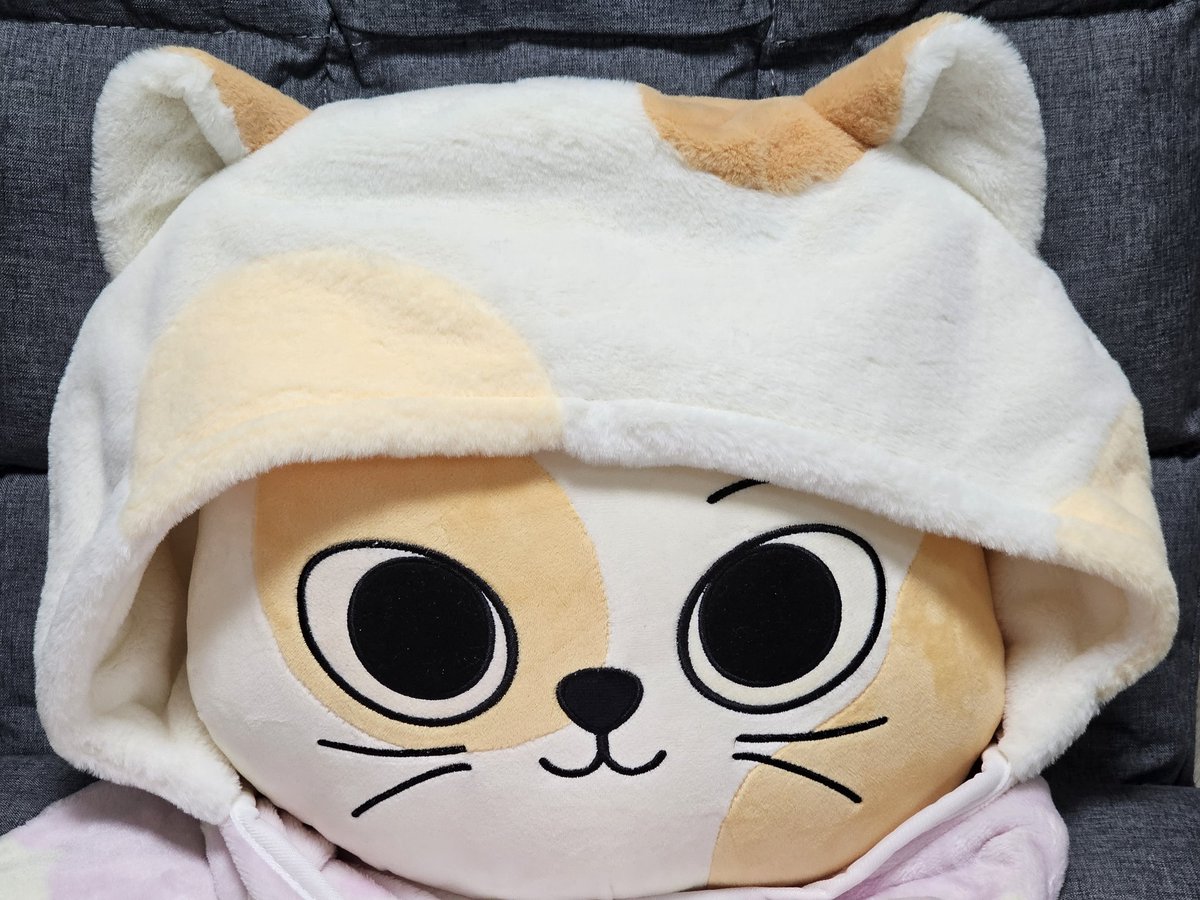 ha88y_53o's tweet photo. 푸하하 캣삐한테 캣삐 후드 담요 씌워주면 엄청 귀여움 😻 https://t.co/hH6RRFycYu