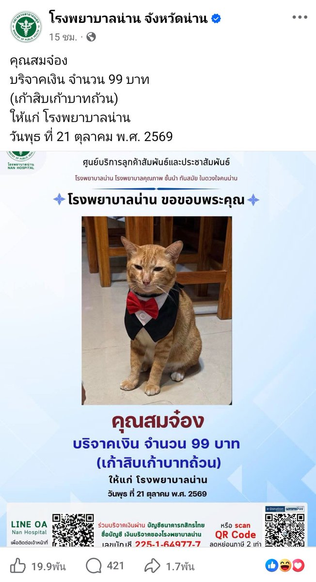 brilliantbearxx's tweet photo. ขอแนะนำอีกที่หนึ่งด้วยนะคะ โรงพยาบาลน่าน จังหวัดน่าน ก็กำลังเปิดรับบริจาคเช่นกัน รูปหมารูปแมวรูปสัตว์เต็มไปหม้ดดดด

มาร่วมกันทำบุญให้โรงพยาบาลกันเยอะ ๆ นะคะ🫶🏻🍀 https://t.co/wzXXJVHPDA