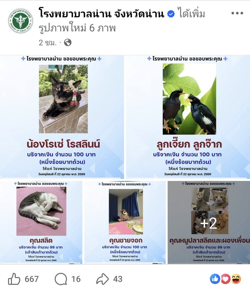 brilliantbearxx's tweet photo. ขอแนะนำอีกที่หนึ่งด้วยนะคะ โรงพยาบาลน่าน จังหวัดน่าน ก็กำลังเปิดรับบริจาคเช่นกัน รูปหมารูปแมวรูปสัตว์เต็มไปหม้ดดดด

มาร่วมกันทำบุญให้โรงพยาบาลกันเยอะ ๆ นะคะ🫶🏻🍀 https://t.co/wzXXJVHPDA
