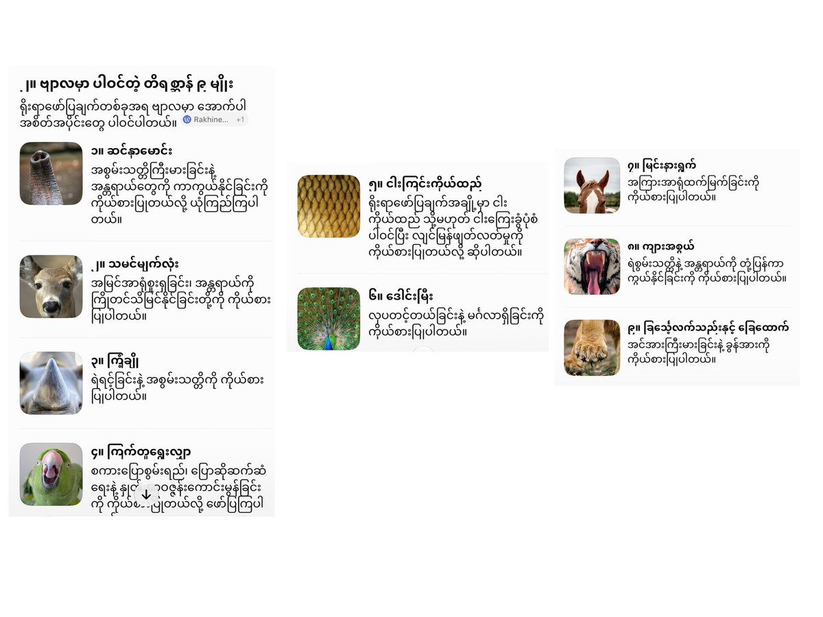 n_darli_z's tweet photo. @GMMTV ဒါလေးလဲကြည့်ပေးအုန်း 

GMMTV ACCOUNTABILITY
#RespectMyanmarCulture
#CreditOurHeritage
#ScarletHeartTH https://t.co/5S0I58E7Tx