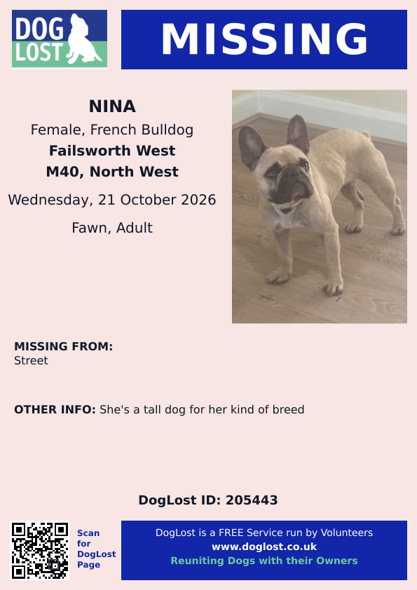 millypod1's tweet photo. 🆘21 OCT 2026 #Lost Nina #ScanMe
French Bulldog Female
#Failsworth West #GreaterManchester #M40
https://t.co/72Rjv9E43m https://t.co/MH3mOh1ty8