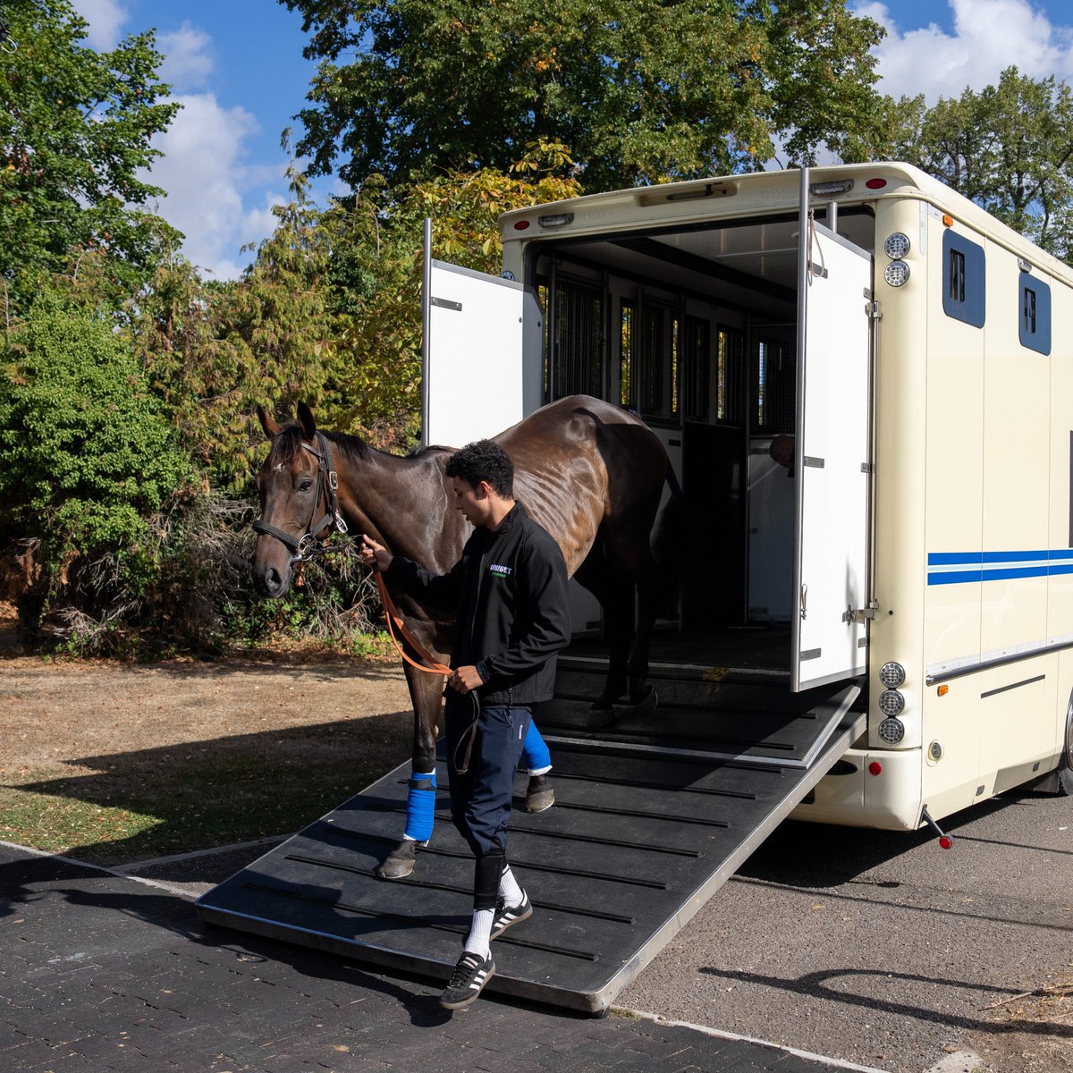 RacingPost's tweet photo. Nicky Henderson on how a deluge of rain in recent days has given him the green light to run Constitution Hill in Milan

🗣️ "We needed the rain badly because on Tuesday we were worried. I was talking to Rossa Ryan because he'd ridden there on Sunday, and he was saying it was very quick ground. 

"I was worried about going, but my man in Milan tells me that it hasn't stopped raining over the past couple of days."