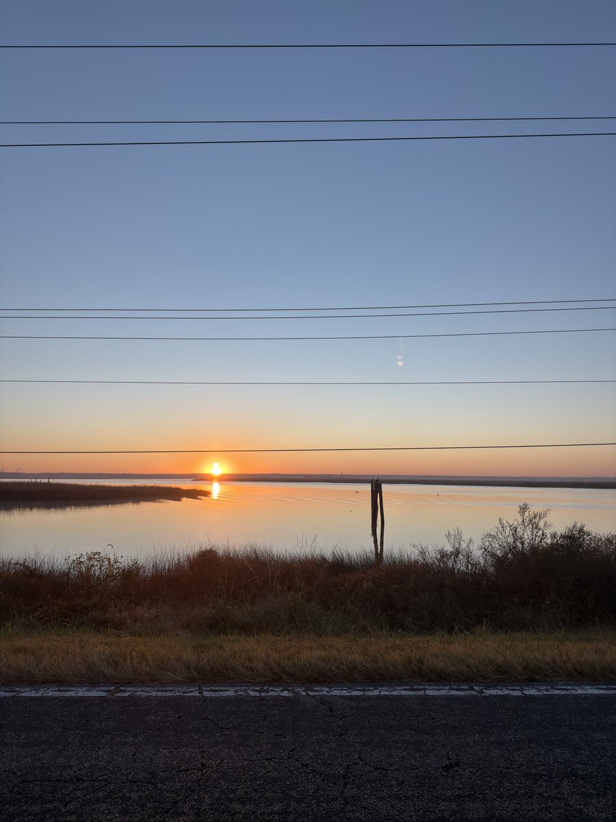 PalmettoGroyper's tweet photo. Good Morning Groypers🌅 https://t.co/onKXpz3G3H