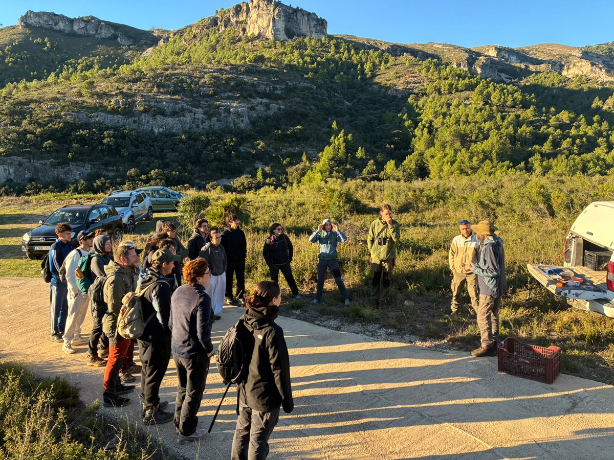 gencat's tweet photo. El programa de reintroducció de la tortuga mediterrània es consolida.

🐢 N’alliberen 800 exemplars als parcs naturals de la Serra de Montsant i els Ports per afavorir la recuperació d’aquesta espècie protegida i en perill d’extinció.

https://t.co/mz4SWksErl https://t.co/S7hFBo1d4P