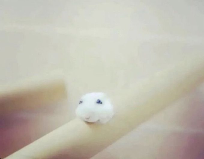 kdebug_'s tweet photo. Face reveal! https://t.co/KJi3U8MQFk