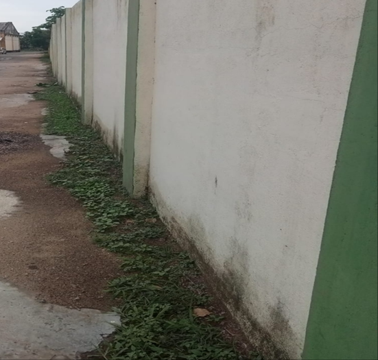 FCIThoothukudi's tweet photo. #SpecialCampaign6.0 at Agency Godown - #TNWC #Palayamkottai under the control of @FCIThoothukudi Cleaning of Depot Premises - (Before/After) https://t.co/kfLUNn3ijM
