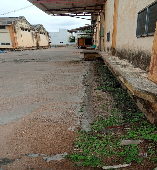FCIThoothukudi's tweet photo. #SpecialCampaign6.0 at Agency Godown - #TNWC #Palayamkottai under the control of @FCIThoothukudi Cleaning of Depot Premises - (Before/After) https://t.co/kfLUNn3ijM